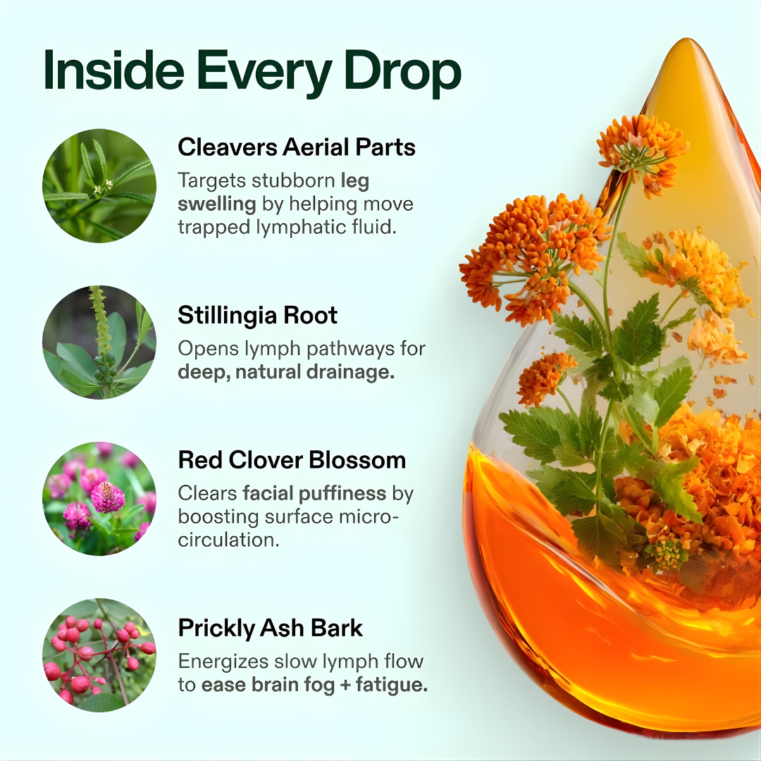 Innervael Lymphatic Drainage Wellness Drops